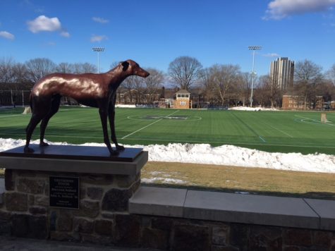 Students Raise Questions About Eco-Friendliness of Makuvek Turf Field