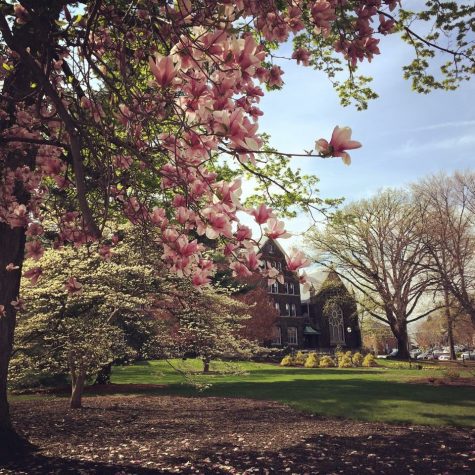 Photo of the Week, Sara Weidner ’18