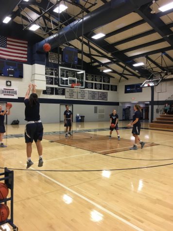 Hoops Mania: A Ball of a Good Time