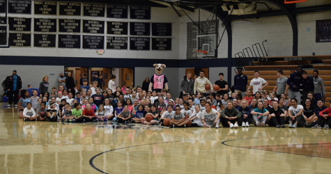 Lady Greyhounds Go Pink to Fight Cancer