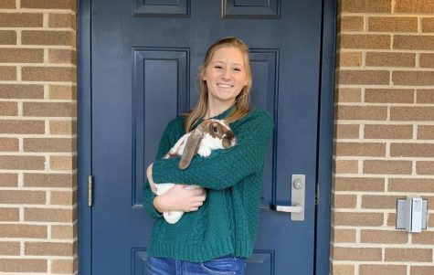 Emotional Support Animals Are Not a Joke