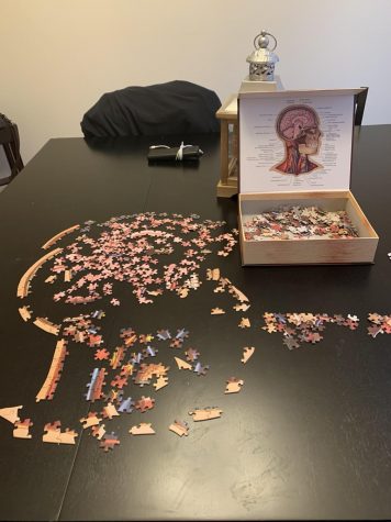 Anatomy puzzle to keep boredom at bay.