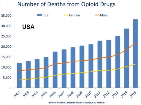 A graph showing deaths from opioid drugs from 2002 to 2015.  Graph via Wikimedia Commons under Creative Commons License.