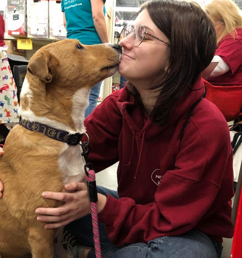 Above is reporter Shayla Borger photographed with Red Rock dog Champagne, who is looking for her perfect home. You can find more about Champagne and other Red Rock dogs on their Facebook.