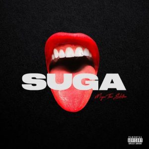 SUGA" Album Art courtesy of pitchfork.com