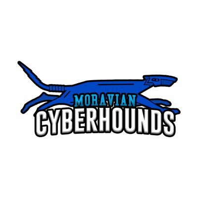 Photo courtesy of Moravian Cyberhounds via Twitter