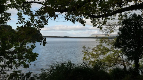 (Slish Wood Lake from sligowalks.ie)
