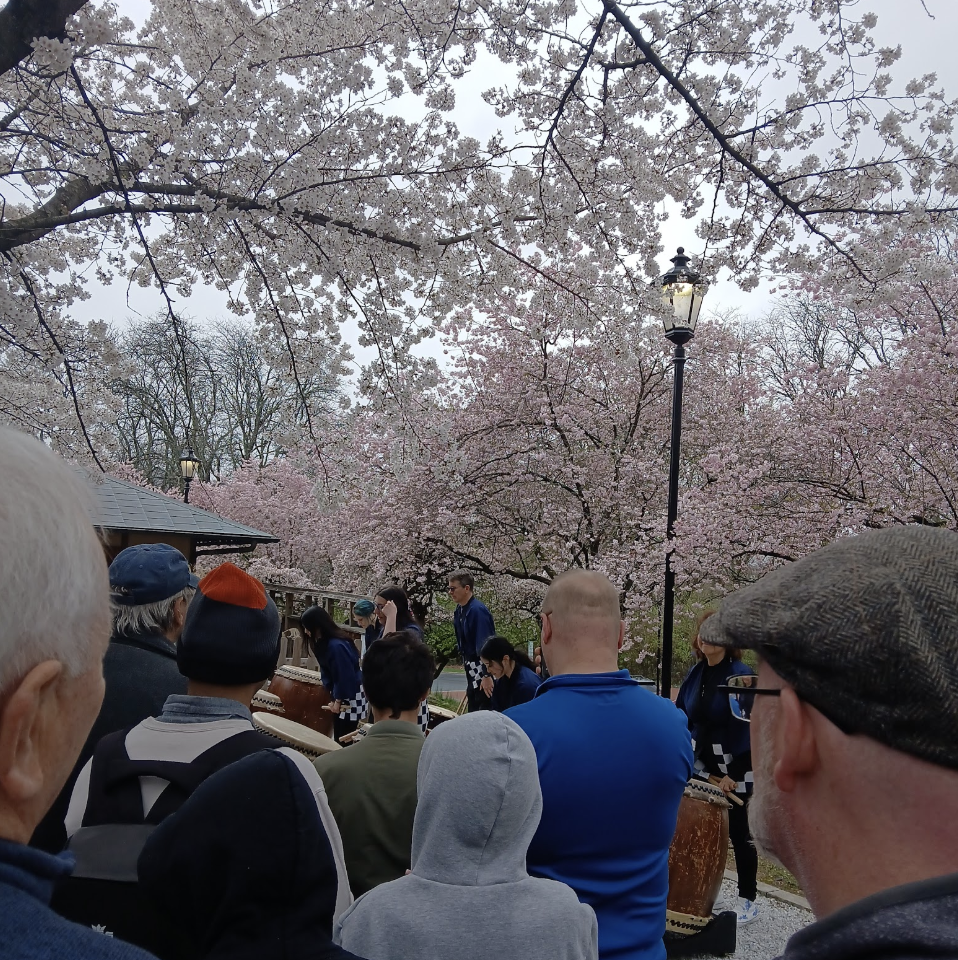 Photo by Fatimah Bouri. Crowd gathering for an Iroha Taiko drum performance.