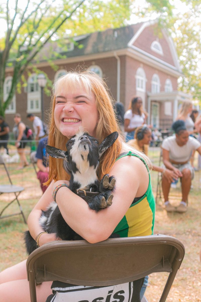MAC Hosts Petting Zoo on Campus