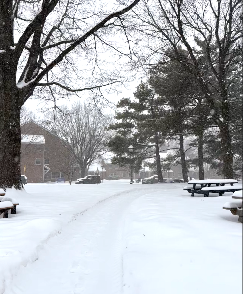 Photo by Madison Snyder. Part of the campus in the recent snowstorm.