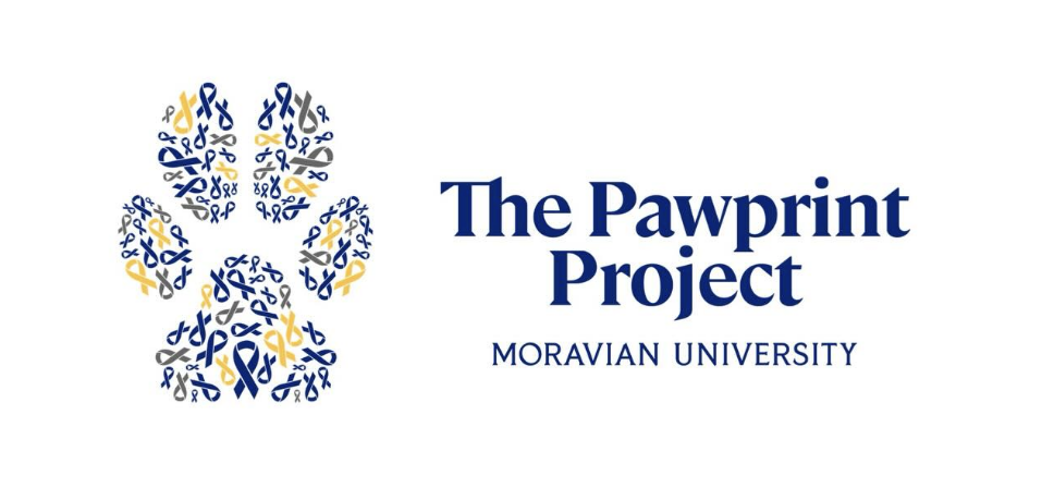 Photo from The Pawprint Project.
