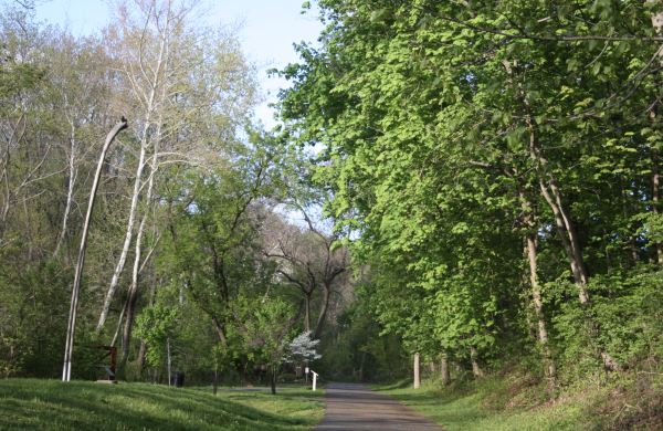 Photo by Fatimah Bouri. A walking trail in Easton.